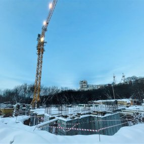 Ход строительства ЖК Дом Скворцы от 12-01-2022 — изображение материала